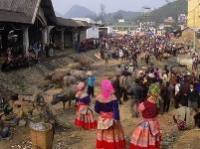 TOURISTS IN Sapa trekking and local market - Bac Ha